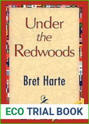 Under the Redwoods