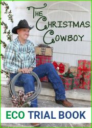 The Christmas Cowboy (Rodeo Romance, #1)
