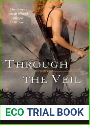 Through the Veil (Veil, #1)