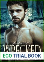 Just a Bit Wrecked (Straight Guys, #11)