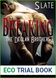 Slate (Breaking the Declan Brothers, #2)