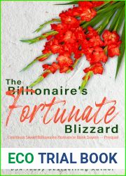 The Billionaire|s Fortunate Blizzard (The Limitless Sweet Billionaire Romance Series Book 7)