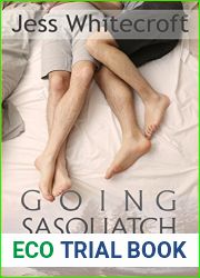 Going Sasquatch (Finnegan and Morrow #1)