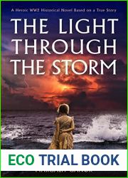 The Light Through The Storm