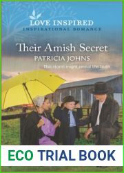 Their Amish Secret (Amish Country Matches #2)