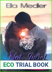 Not Juliet (Addicted To Love Romance Collection)