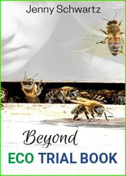 Beyond Regeneration