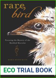 Rare Bird: Pursuing the Mystery of the Marbled Murrelet