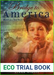 Bridge to America