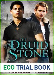 The Druid Stone (Layers of the Otherworld, #1)