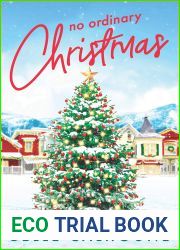 No Ordinary Christmas (Mistletoe, Maine, #1)
