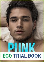 Punk (Popov Boys #6)