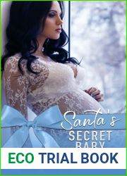 Santa|s Secret Baby