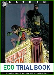 Batman: Fortunate Son