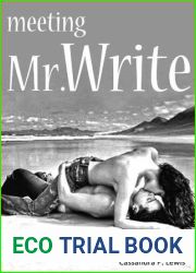 Meeting Mr. Write (Mr. Write Trilogy #1)