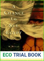 A Chance to See Egypt