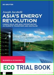 Asias Energy Revolution: Chinas Role and New Opportunities as Markets Transform and Digitalise