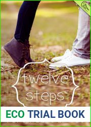 Twelve Steps