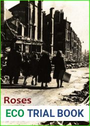 Roses of Winter