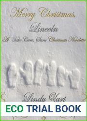 Merry Christmas, Lincoln (A Take Care, Sara Christmas Novelette)