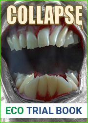 Collapse (Ferine Apocalypse #1)