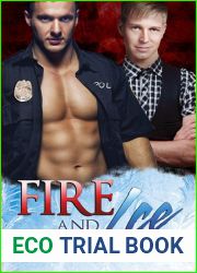 Fire and Ice (Carlisle Cops, #2)