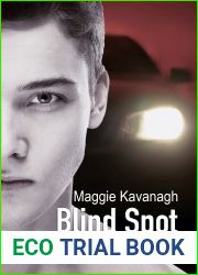 Blind Spot (The Stonebridge Mysteries #3)