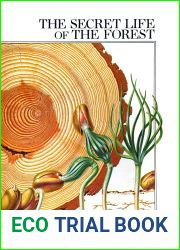 The Secret Life of the Forest