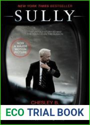 Sully: My Search for What Really Matters