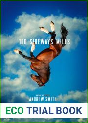 100 Sideways Miles