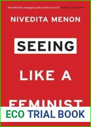 Seeing Like a Feminist