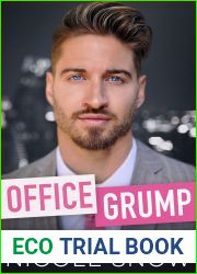 Office Grump (Bad Chicago Bosses, #1)