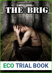 The Brig