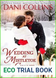 Wedding at Mistletoe Chalet