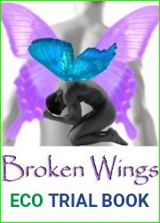 Broken Wings