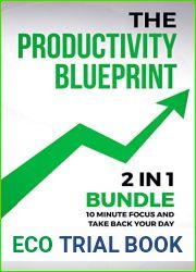 The Productivity Blueprint: 2 in 1 Bundle: 10 Minute Focus and Take Back Your Day