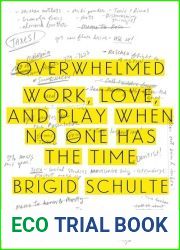 Overwhelmed: Work, Love, and Play When No One Has the Time