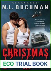 Christmas at Steel Beach (The Night Stalkers #9)