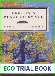 Lost in a Place So Small