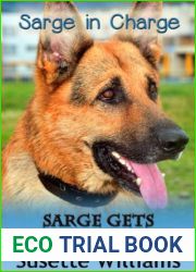 Sarge Gets a Timeout (Sarge In Charge)