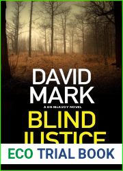 Blind Justice (A DS McAvoy novel Book 10)