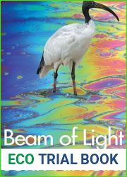 Beam of Light: Stories