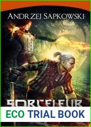 L|Epee de la providence (Sorceleur #2)