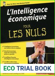L|intelligence economique Pour les Nuls (French Edition)