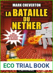 la bataille du nether (French Edition)