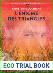 L| Enigme des triangles (French Edition)