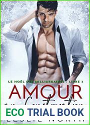 Amour en Construction (Le Noel des Milliardaires t. 3)