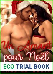 Un Amant pour Noel: Histoire erotique Taboue