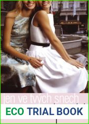 Jen ve tvych snech (Gossip Girl, #9)