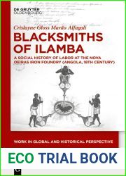 Blacksmiths of Ilamba: A Social History of Labor at the Nova Oeiras Iron Foundry (Angola, 18th Century) (Work in Global and Historical Perspective Book 15)